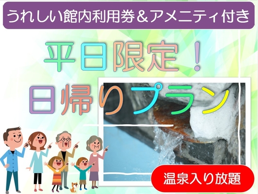 【平日限定】お部屋・温泉でまったり！Wi-Fi完備でワークにも最適！！(禁煙)